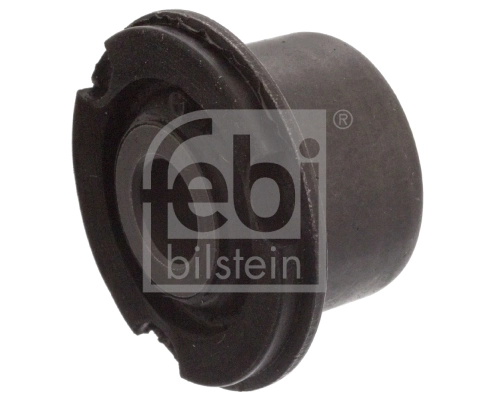 Mounting, control/trailing arm